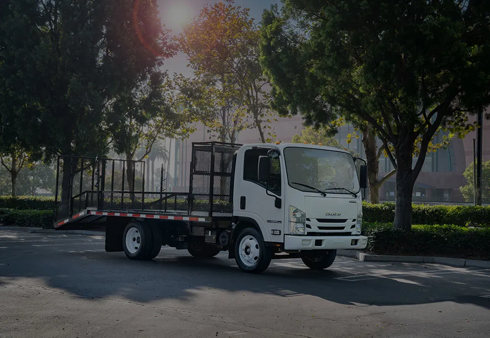 Camion avec carrosserie de cage